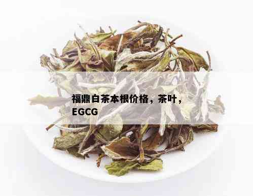 福鼎白茶本根价格，茶叶，EGCG