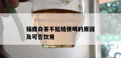 福鼎白茶不能随便喝的原因及可否饮用