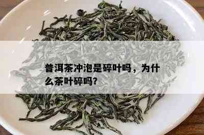 普洱茶冲泡是碎叶吗，为什么茶叶碎吗？