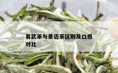 易武茶与景迈茶区别及口感对比