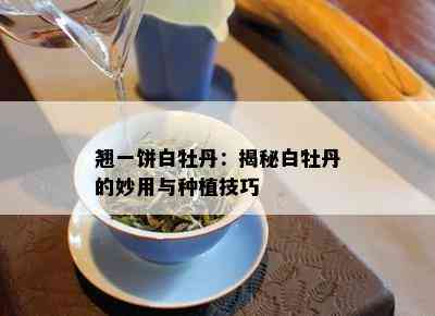 翘一饼白牡丹：揭秘白牡丹的妙用与种植技巧