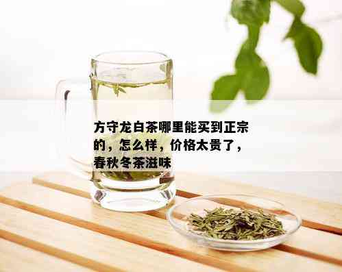 方守龙白茶哪里能买到正宗的，怎么样，价格太贵了，春秋冬茶滋味