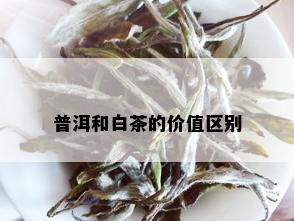 普洱和白茶的价值区别