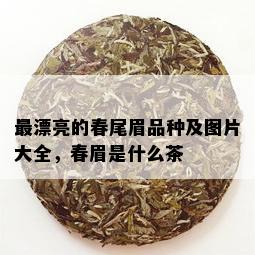 最漂亮的春尾眉品种及图片大全，春眉是什么茶