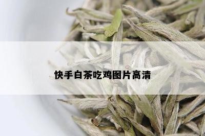 快手白茶吃鸡图片高清