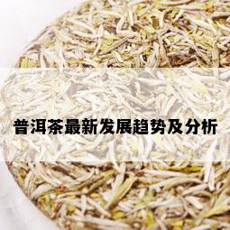 普洱茶最新发展趋势及分析