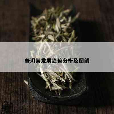 普洱茶发展趋势分析及图解