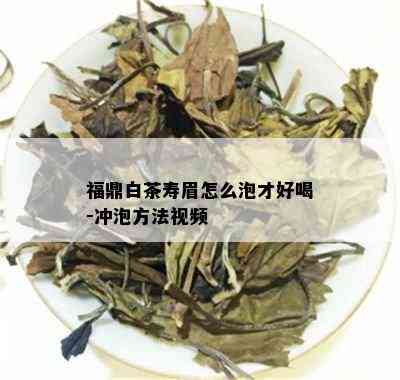 福鼎白茶寿眉怎么泡才好喝-冲泡方法视频