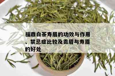 福鼎白茶寿眉的功效与作用、禁忌症比较及贡眉与寿眉的好处