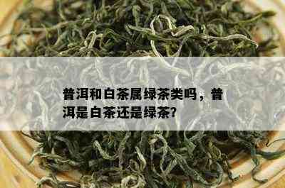 普洱和白茶属绿茶类吗，普洱是白茶还是绿茶？