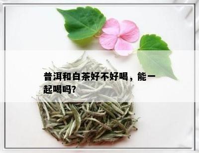 普洱和白茶好不好喝，能一起喝吗？