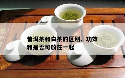 普洱茶和白茶的区别、功效和是否可放在一起