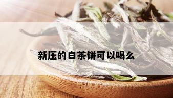 新压的白茶饼可以喝么