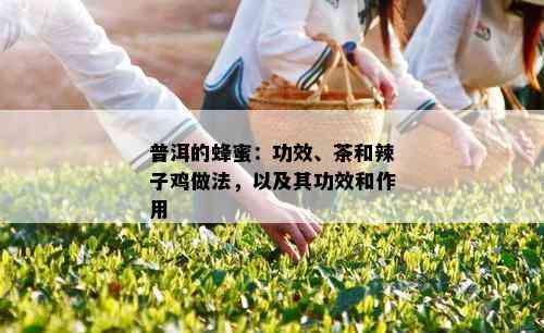 普洱的蜂蜜：功效、茶和辣子鸡做法，以及其功效和作用