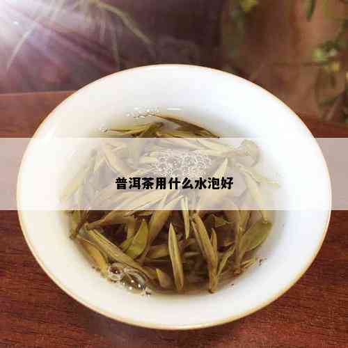 普洱茶用什么水泡好