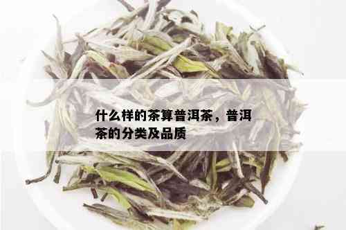 什么样的茶算普洱茶，普洱茶的分类及品质