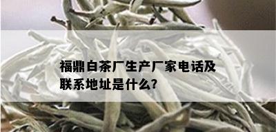 福鼎白茶厂生产厂家电话及联系地址是什么？