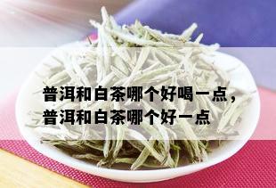 普洱和白茶哪个好喝一点，普洱和白茶哪个好一点