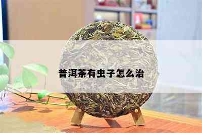 普洱茶有虫子怎么治