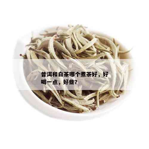 普洱和白茶哪个煮茶好，好喝一点，好些？