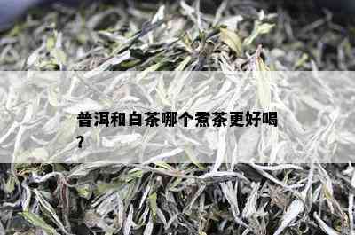 普洱和白茶哪个煮茶更好喝？