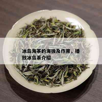 冰岛海茶的海拔及作用，播放冰岛茶介绍