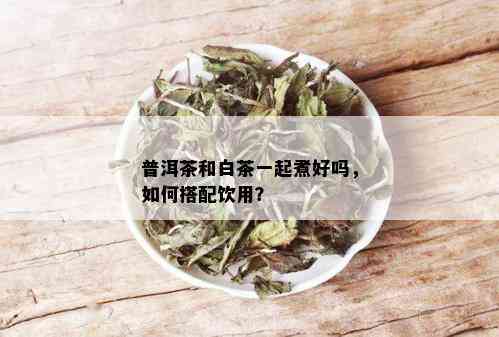 普洱茶和白茶一起煮好吗，如何搭配饮用？