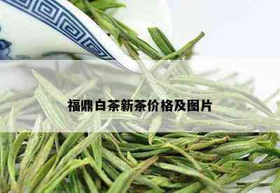 福鼎白茶新茶价格及图片