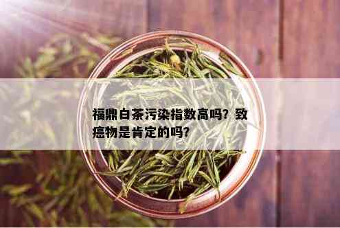 福鼎白茶污染指数高吗？致癌物是肯定的吗？