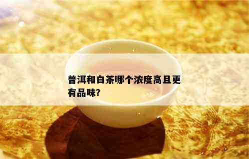 普洱和白茶哪个浓度高且更有品味？