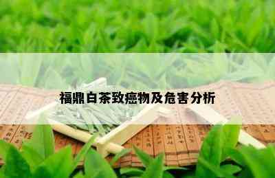 福鼎白茶致癌物及危害分析