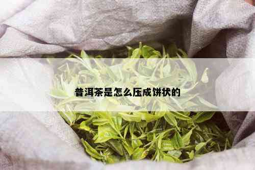 普洱茶是怎么压成饼状的