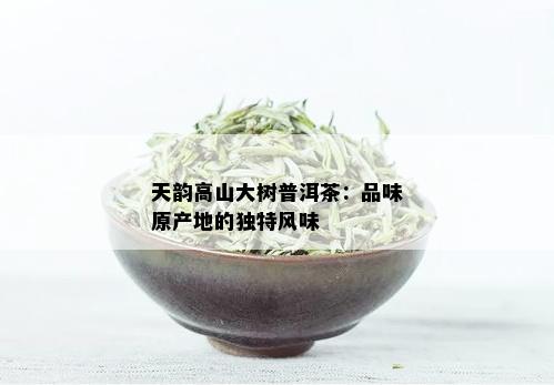 天韵高山大树普洱茶：品味原产地的独特风味