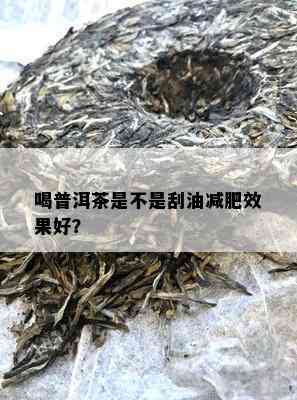 喝普洱茶是不是刮油减肥效果好？