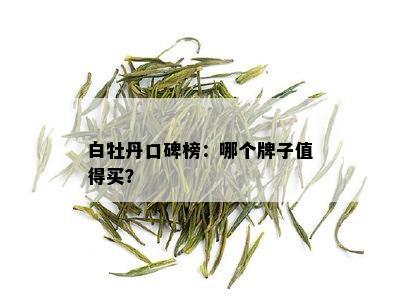 白牡丹口碑榜：哪个牌子值得买？