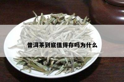 普洱茶到底值得存吗为什么