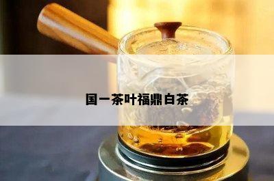 国一茶叶福鼎白茶