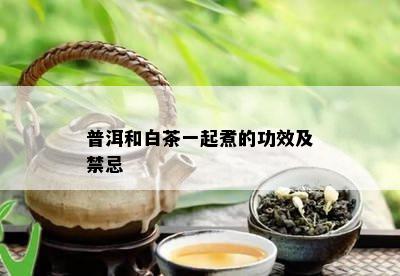 普洱和白茶一起煮的功效及禁忌