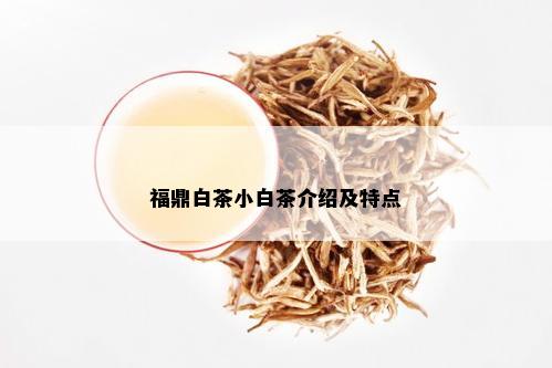 福鼎白茶小白茶介绍及特点