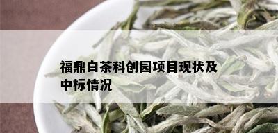 福鼎白茶科创园项目现状及中标情况