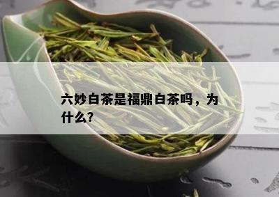 六妙白茶是福鼎白茶吗，为什么？