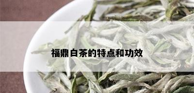 福鼎白茶的特点和功效