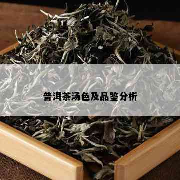 普洱茶汤色及品鉴分析