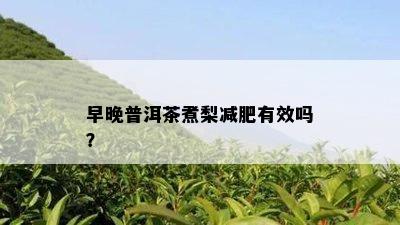 早晚普洱茶煮梨减肥有效吗？