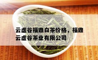 云虚谷福鼎白茶价格，福鼎云虚谷茶业有限公司