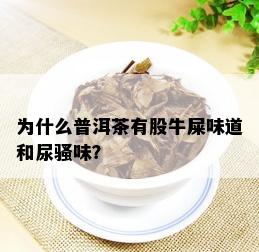 为什么普洱茶有股牛屎味道和尿骚味？