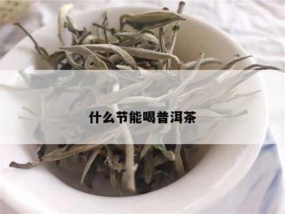 什么节能喝普洱茶