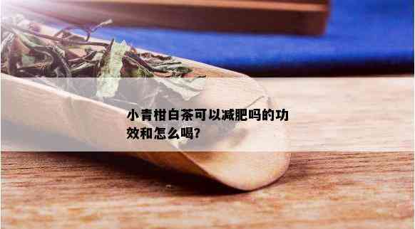 小青柑白茶可以减肥吗的功效和怎么喝？