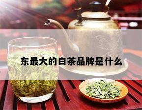 东更大的白茶品牌是什么