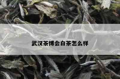 武汉茶博会白茶怎么样